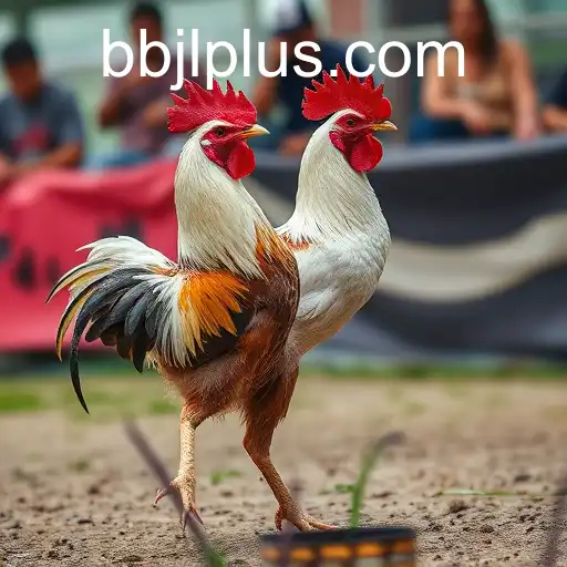 Exploring the World of Online Sabong and the Role of BBJL